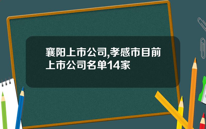 襄阳上市公司,孝感市目前上市公司名单14家