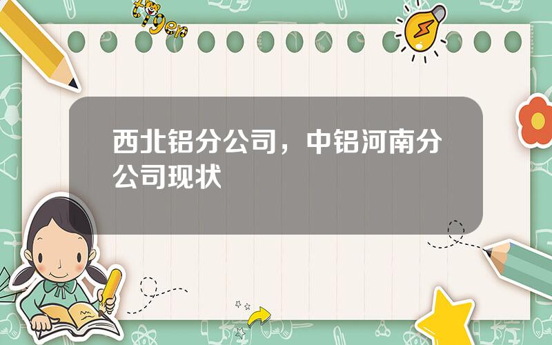 西北铝分公司，中铝河南分公司现状