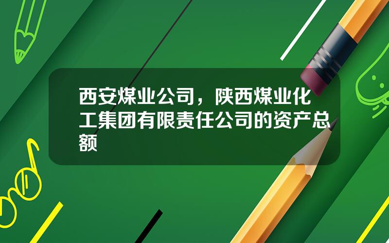 西安煤业公司，陕西煤业化工集团有限责任公司的资产总额