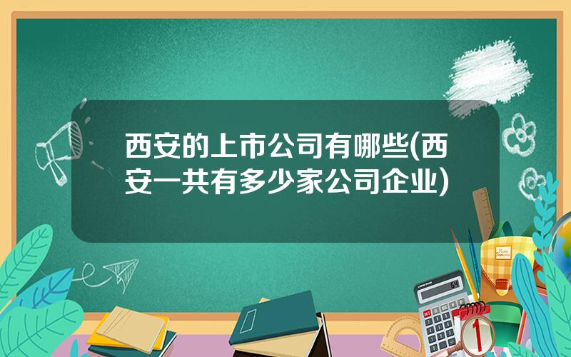 西安的上市公司有哪些(西安一共有多少家公司企业)