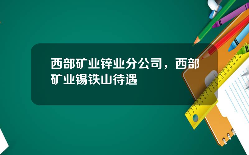 西部矿业锌业分公司，西部矿业锡铁山待遇