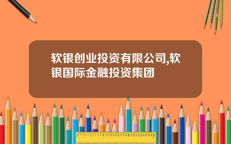 软银创业投资有限公司,软银国际金融投资集团