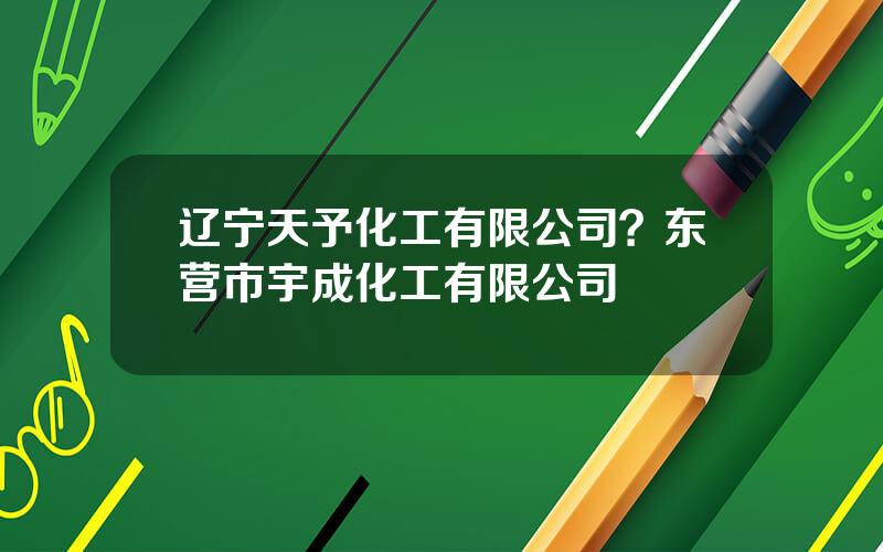辽宁天予化工有限公司？东营市宇成化工有限公司
