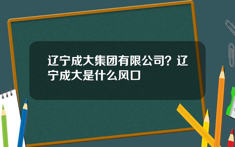 辽宁成大集团有限公司？辽宁成大是什么风口
