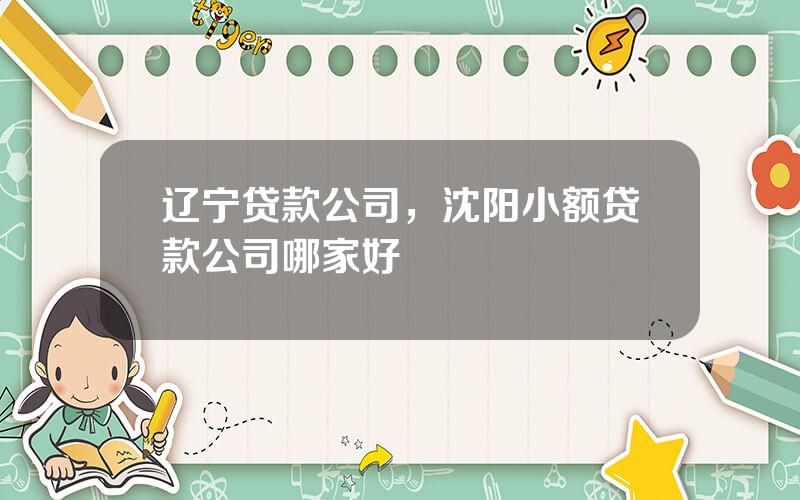 辽宁贷款公司，沈阳小额贷款公司哪家好