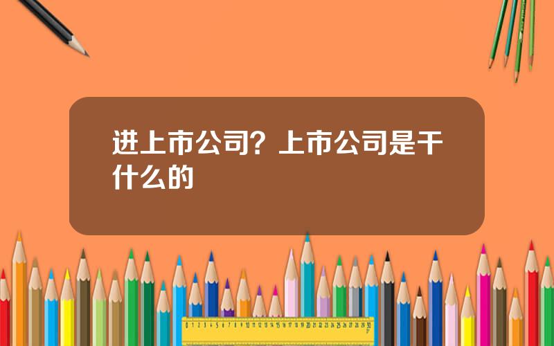 进上市公司？上市公司是干什么的