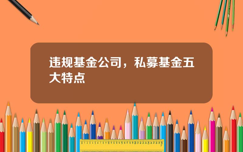 违规基金公司，私募基金五大特点