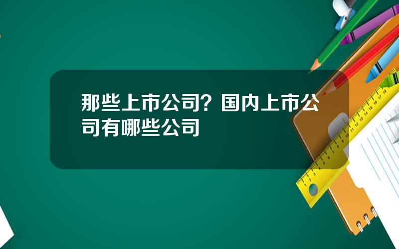 那些上市公司？国内上市公司有哪些公司