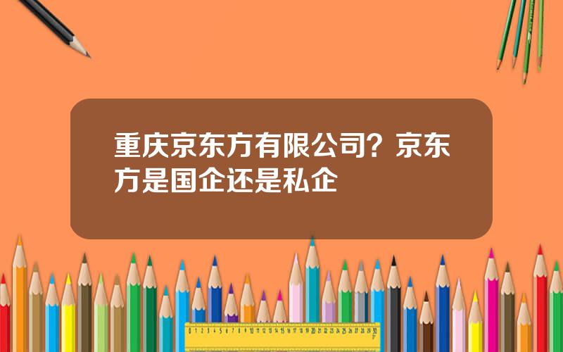 重庆京东方有限公司？京东方是国企还是私企