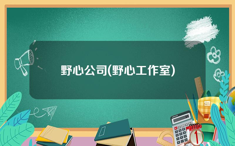 野心公司(野心工作室)