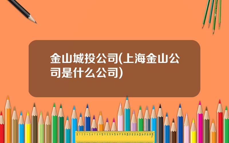 金山城投公司(上海金山公司是什么公司)