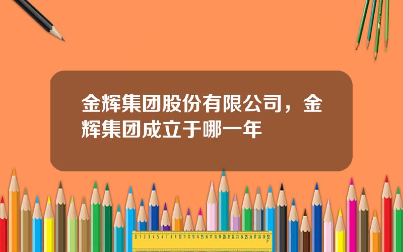 金辉集团股份有限公司，金辉集团成立于哪一年