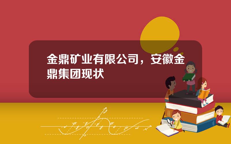 金鼎矿业有限公司，安徽金鼎集团现状