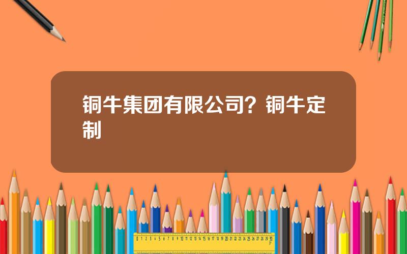 铜牛集团有限公司？铜牛定制