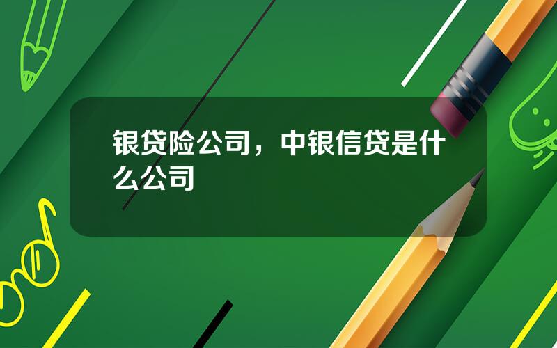 银贷险公司，中银信贷是什么公司