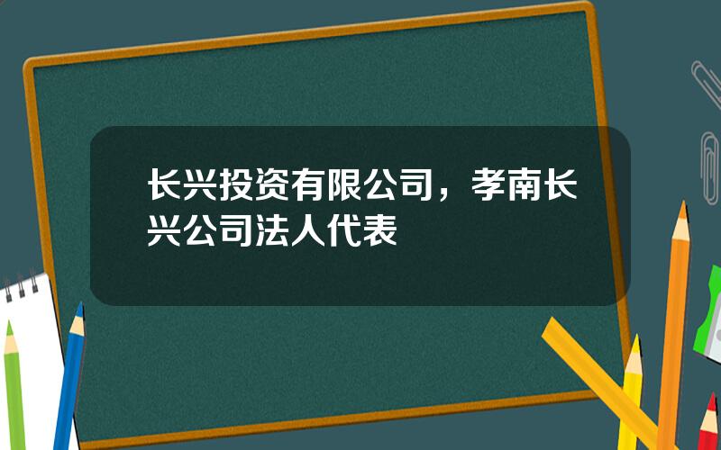 长兴投资有限公司，孝南长兴公司法人代表