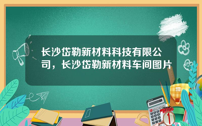 长沙岱勒新材料科技有限公司，长沙岱勒新材料车间图片