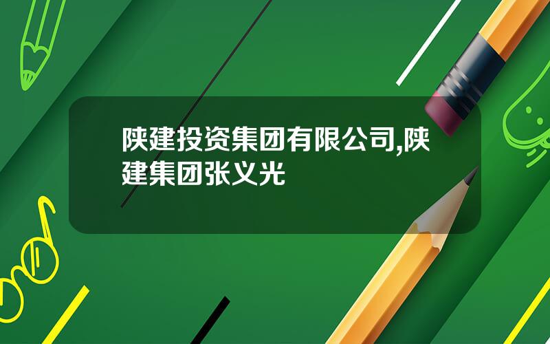 陕建投资集团有限公司,陕建集团张义光