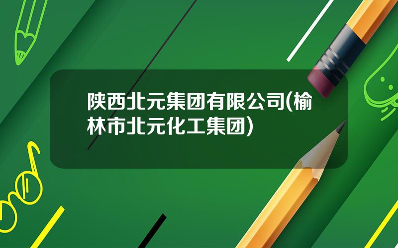 陕西北元集团有限公司(榆林市北元化工集团)