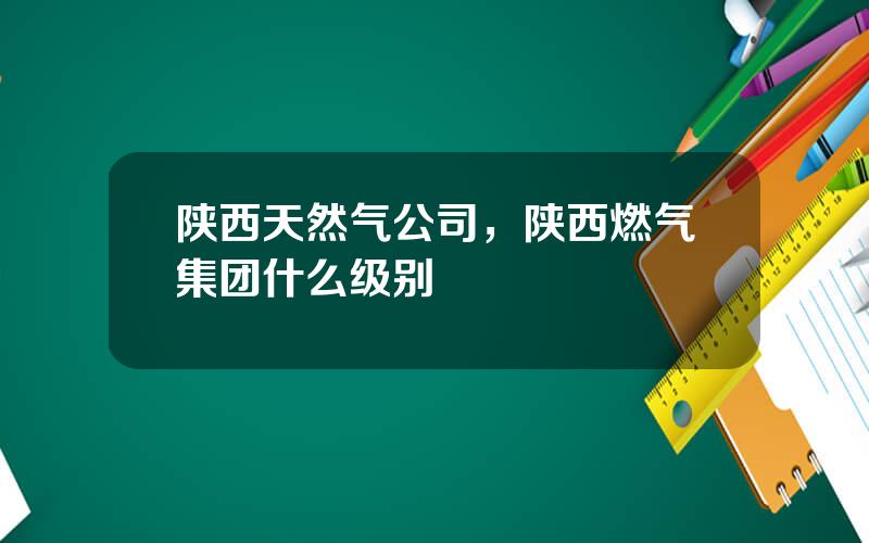 陕西天然气公司，陕西燃气集团什么级别