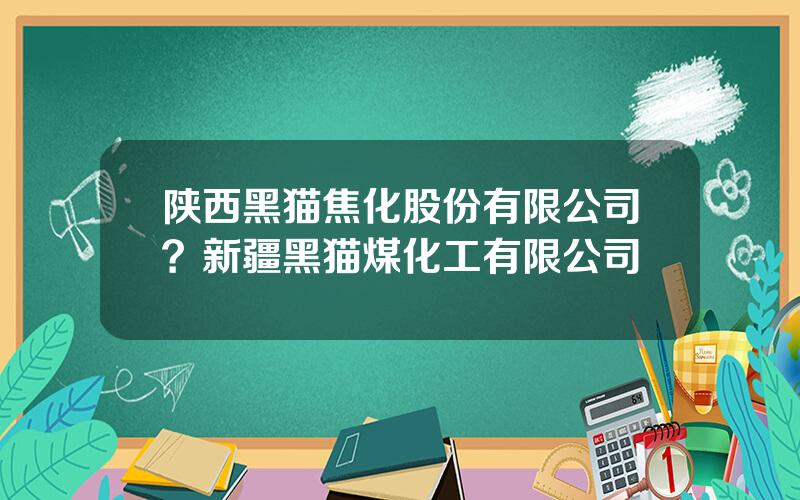 陕西黑猫焦化股份有限公司？新疆黑猫煤化工有限公司