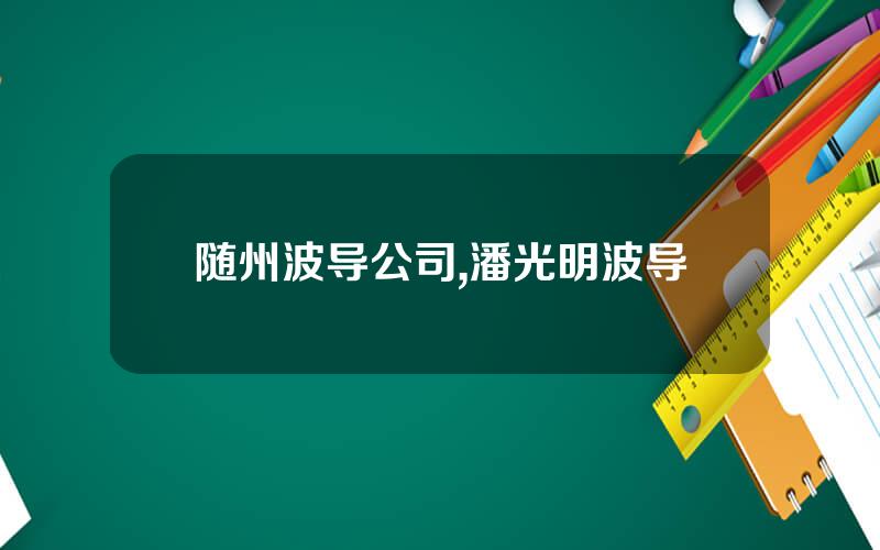 随州波导公司,潘光明波导