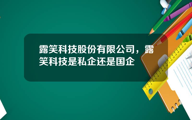 露笑科技股份有限公司，露笑科技是私企还是国企