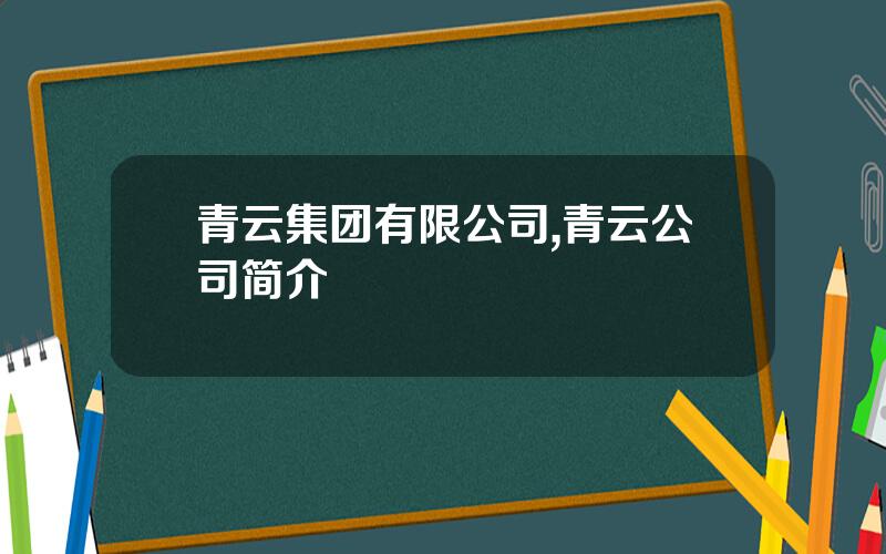 青云集团有限公司,青云公司简介