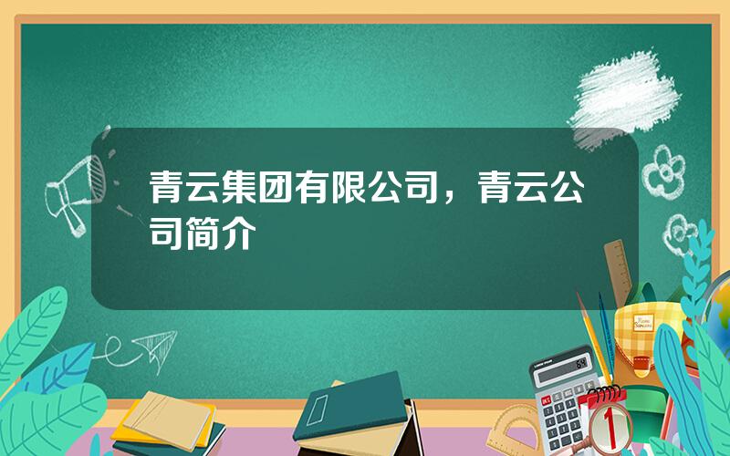 青云集团有限公司，青云公司简介