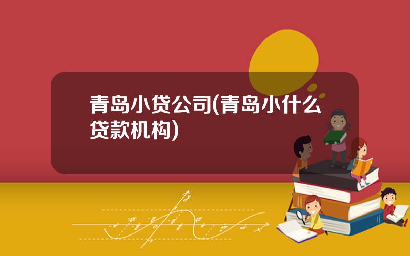 青岛小贷公司(青岛小什么贷款机构)