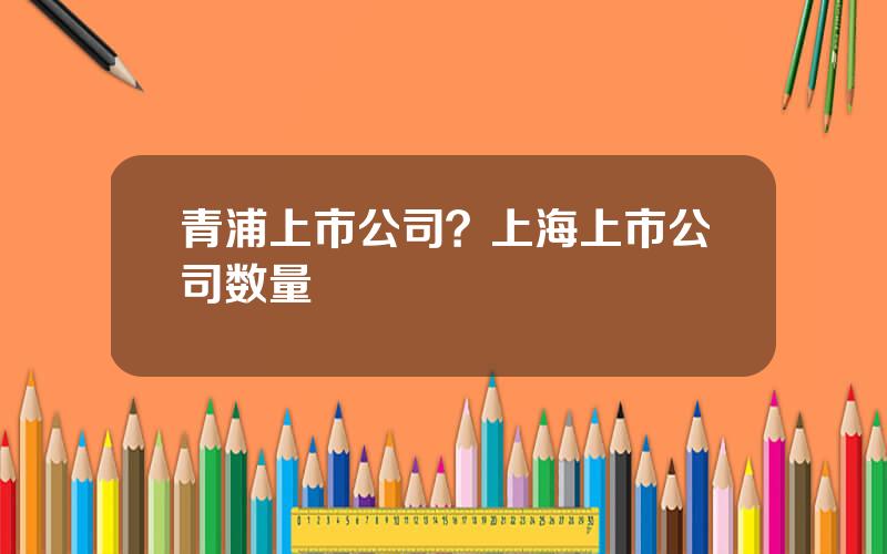 青浦上市公司？上海上市公司数量