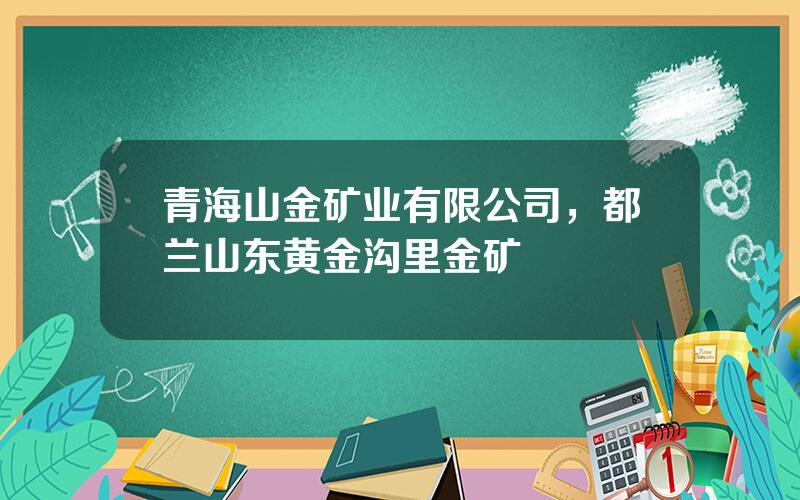 青海山金矿业有限公司，都兰山东黄金沟里金矿