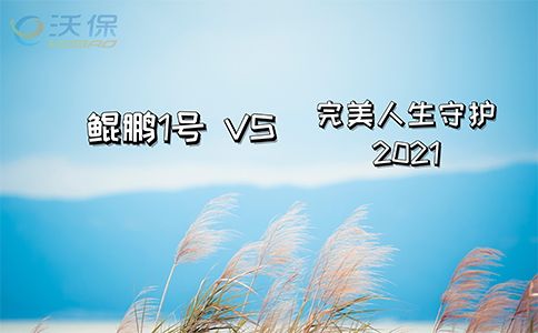 鲲鹏1号VS完美人生守护2021谁更值得买？各自优势？_1