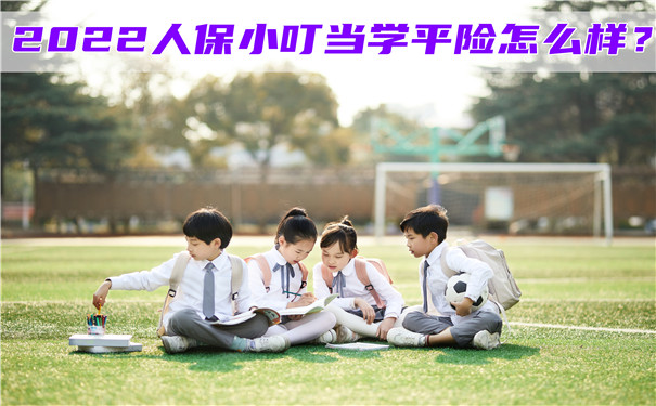 2022人保小叮当学平险怎么样-好不好-值得买吗-