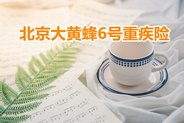 2022北京大黄蜂6号重疾险在哪买？怎么买？大黄蜂6号重疾险多少钱